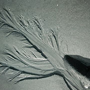 Photo of a rock in the bottom right hand corner, and sand looking like a tree.